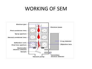 WORKING OF SEM
 