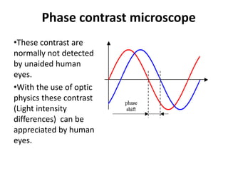 Phase contrast microscope
•These contrast are
normally not detected
by unaided human
eyes.
•With the use of optic
physics these contrast
(Light intensity
differences) can be
appreciated by human
eyes.
 