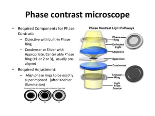 Phase contrast microscope
• Required Components for Phase
Contrast:
– Objective with built-in Phase
Ring
– Condenser or Slider with
Appropriate, Center able Phase
Ring (#1 or 2 or 3), usually pre-
aligned
• Required Adjustment:
– Align phase rings to be exactly
superimposed (after Koehler
Illumination)
 