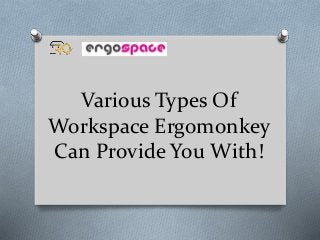 Various Types Of
Workspace Ergomonkey
Can Provide You With!
 
