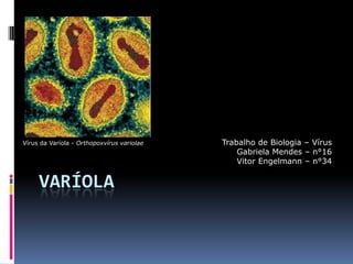 Varíola Trabalho de Biologia – Vírus Gabriela Mendes – n°16 Vitor Engelmann – n°34 Vírus da Varíola - Orthopoxvírus variolae 