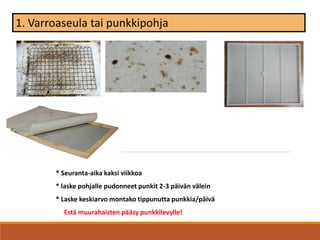 1. Varroaseula tai punkkipohja
* Seuranta-aika kaksi viikkoa
* laske pohjalle pudonneet punkit 2-3 päivän välein
* Laske keskiarvo montako tippunutta punkkia/päivä
Estä muurahaisten pääsy punkkilevylle!
 