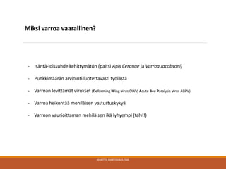 Miksi varroa vaarallinen?
MARITTA MARTIKKALA, SML
- Isäntä-loissuhde kehittymätön (paitsi Apis Ceranae ja Varroa Jacobsoni)
- Punkkimäärän arviointi luotettavasti työlästä
- Varroan levittämät virukset (Deforming Wing virus DWV, Acute Bee Paralysis virus ABPV)
- Varroa heikentää mehiläisen vastustuskykyä
- Varroan vaurioittaman mehiläisen ikä lyhyempi (talvi!)
 