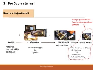 MARITTA MARTIKKALA, SML
elokuussa
2. Tee Suunnitelma
Suomen torjuntamalli
marras-joulu
Puhdistuslennon jälkeen
OH-käsittely
tai
Toukokuussa
MH pistekäsittely
kesällä kevättorjunta
Vain jos punkkimäärä
Suuri syksyn tiputuksen
jälkeen!
Peitettyjä
kuhnuritoukkia
poistetaan
Muurahaishappo
tai
Tymoli
Oksaalihappo
+ +
 