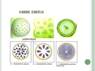 VARRE EHITUS juhtkimbud 