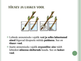 TÕUSEV JA LASKUV VOOL Lehtede arenemiseks vajalik  vesi ja selles lahustunud ained  liiguvad ülespoole mööda  puiduosa . See on  tõusev vool . Juurte arenemiseks vajalik  orgaaniline aine  tuleb lehtedest  niineosa sõeltorude  kaudu. See on  laskuv vool . 