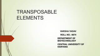 TRANSPOSABLE
ELEMENTS
VARSHA YADAV
ROLL NO.- 6674
DEPARTMENT OF
BIOTECHNOLOGY
CENTRAL UNIVERSITY OF
HARYANA
 