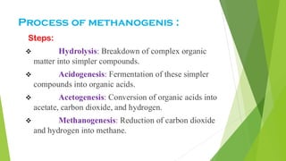 Acetogenesis Process --METHANOGENS- (general microbiology )-- | PDF