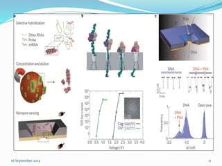 16 September 2014 11 
 