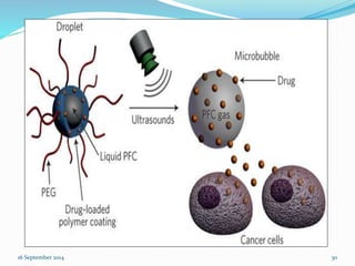 16 September 2014 30 
 