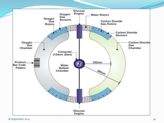 16 September 2014 42 
 