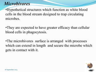Microbivores 
•Hypothetical structures which function as white blood 
cells in the blood stream designed to trap circulating 
microbes. 
•They are expected to have greater efficacy than cellular 
blood cells in phagocytosis. 
•The microbivores surface is arranged with processes 
which can extend in length and secure the microbe which 
gets in contact with it. 
16 September 2014 43 
 
