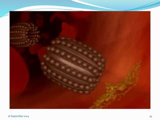 16 September 2014 45 
 