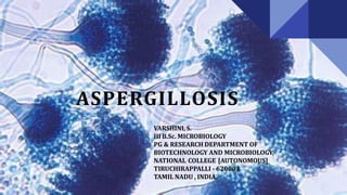 ASPERGILLOSIS
VARSHINI, S.
III B.Sc. MICROBIOLOGY
PG & RESEARCH DEPARTMENT OF
BIOTECHNOLOGY AND MICROBIOLOGY,
NATIONAL COLLEGE [AUTONOMOUS]
TIRUCHIRAPPALLI - 620001
TAMIL NADU , INDIA.
 