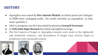 HISTORY
● Aspergillus was named by Pier Antonio Micheli, an Italian priest and biologist
in 1729 when cataloging molds , the molds resemble an aspergillum (a holy
water sprinkler )
● 1863 A. fumigatus was first described by physician Georg W Fresenius
● In 1842 John Higes Bennett described aspergillosis in lungs
● The ﬁrst reports of fungal or Aspergillus sinusitis were made in the eighteenth
and nineteenth centuries, and descriptions of fungal sinus disease began to
proliferate in the nineteenth century.
Georg W Fresenius John Higes Bennett
 