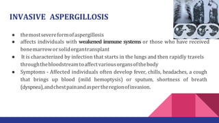 INVASIVE ASPERGILLOSIS
● themostsevereformofaspergillosis
● affects individuals with weakened immune systems or those who have received
bonemarroworsolidorgantransplant
● It is characterized by infection that starts in the lungs and then rapidly travels
throughthebloodstreamtoaffectvariousorgansofthebody
● Symptoms - Affected individuals often develop fever, chills, headaches, a cough
that brings up blood (mild hemoptysis) or sputum, shortness of breath
(dyspnea),andchestpainandaspertheregionofinvasion.
 