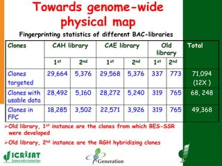 Towards genome-wide
physical map
Clones CAH library CAE library Old
library
Total
1st 2nd 1st 2nd 1st 2nd
Clones
targeted
...