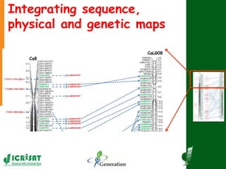 Integrating sequence,
physical and genetic maps
 