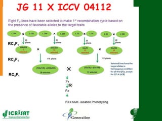 ×
JG 11 X ICCV 04112
 
