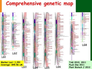 LG1
LG2
LG3 LG4 LG5 LG6
LG7
LG8
Marker Loci: 1,291
Coverage: 845.56 cM
Comprehensive genetic map
TAG 2010, 2011
PLoS One 2...