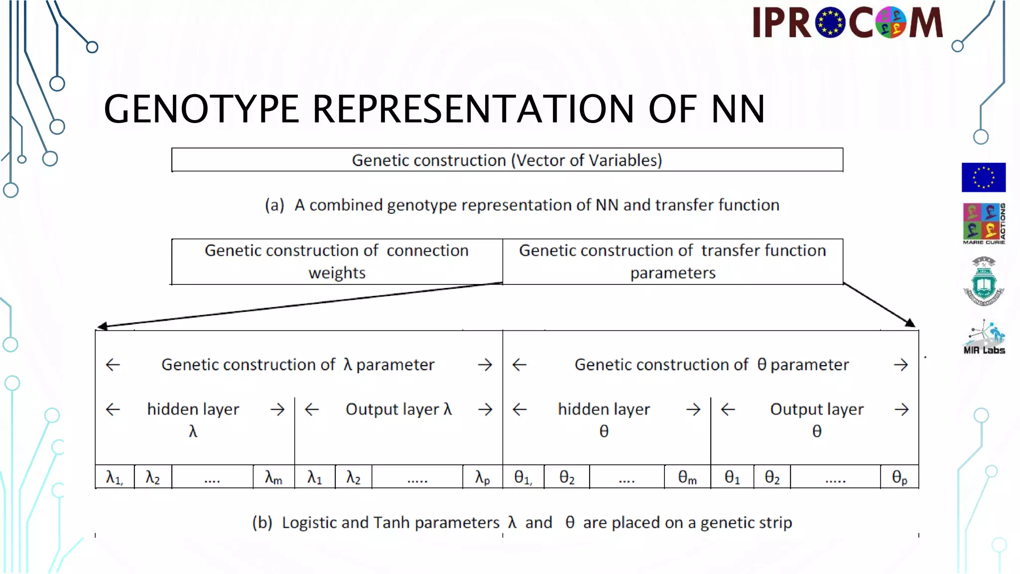 GENOTYPE REPRESENTATION OF NN 