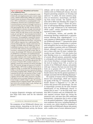 n engl j med 375;21 nejm.org  November 24, 2016 2069
Von Willebrand’s Disease
it requires diagnostic strategies and treatment
that differ from those used for the inherited
disease.12
Clinical Presentation
The symptoms of von Willebrand’s disease vary
among patients, depending on the level of re-
sidual von Willebrand factor activity, the disease
subtype, and to some extent, age and sex. In
children with von Willebrand’s disease, the most
frequent presenting symptoms are bruising and
epistaxis.13
In adults, the most common symp-
toms are hematomas, menorrhagia, and bleed-
ing from minor wounds. The majority of pa-
tients (60 to 80%) have bleeding after surgery or
dental extractions.14
Figure 3 shows the preva-
lence of self-reported bleeding symptoms derived
from the large Willebrand in the Netherlands
(WiN) study14
; similar prevalences have been
reported in other studies.5,17
A well-known, serious, and possibly life-
threatening bleeding complication is gastroin-
testinal bleeding from angiodysplasia.18
It is
most common in elderly patients with type 2 or 3
von Willebrand’s disease.14,18
Intraarticular (joint)
bleeding is a frequent complication in patients
with hemophilia but has not been reported as a
major problem in patients with von Willebrand’s
disease, although it may be a presenting symp-
tom in those with type 2N (type 2 subtype Nor-
mandy) or type 3 disease.19
It is now known that
joint bleeding occurs in a considerable number
of severely affected patients, potentially leading
to arthropathy and reduced joint function.19
The
risk of joint bleeding is strongly dependent on
the level of residual factor VIII, as well as the
severity of von Willebrand’s disease, and patients
with type 3 disease who have very low factor VIII
levels are at greatest risk.14,19,20
A lower health-
related quality of life for patients with von Wille­
brand’s disease than for the general population is
strongly associated with the bleeding phenotype.21
The majority of women with von Willebrand’s
disease have menorrhagia, which also impairs
the quality of life (Fig. 3).22
Conversely, von Wille­
brand’s disease is diagnosed in 5 to 20% of
women who present with menorrhagia. The link
to menorrhagia accounts for the more frequent
identification of von Willebrand’s disease in
women than in men.23,24
In the WiN study, more
than 80% of women with von Willebrand’s dis-
ease reported excessive blood loss during the
menstrual cycle, and more than 20% underwent
hysterectomy, a proportion that is twice as high
as in the general population.25
Other reproductive
tract symptoms also occur, including bleeding of
an ovarian cyst, which should be considered in
women with von Willebrand’s disease who present
with a sudden onset of severe abdominal pain.26
Figure 1 (facing page). Biosynthesis and Function
of von Willebrand Factor.
Von Willebrand factor (VWF) is synthesized in endo-
thelial cells and megakaryocytes and is stored, respec-
tively, in Weibel–Palade bodies (WPBs) and α-granules.
Panel A shows the process of biosynthesis in endothe-
lium. VWF is synthesized as a propolypeptide in the
endoplasmic reticulum and is composed of several
structural domains; domains A through D and the re-
spective binding sites are indicated. After cleavage of
the signal peptide (SP), the VWF subunits dimerize
in the endoplasmic reticulum through intermolecular
disulfide bridges at the C-terminal cystine knot (CK)
domain. When the VWF dimers arrive in the Golgi, the
acidic pH and high Ca2+
level stimulate the formation
of VWF multimers through disulfide bridges between
D3 domains. The propeptide is cleaved but remains
noncovalently bound to the forming VWF multimer,
­facilitating the disulfide bond formation. The growing
VWF multimer organizes into a right-handed helix,
thereby folding itself into a tubular conformation for
storage in the WPBs. When the WPBs fuse with the
­endothelial membrane, the pH in the WPBs rises to
7.4 and the VWF multimers lose their tubulated con­
formation, unfurling into long VWF strings. After se-
cretion, the ultralarge VWF multimers are proteolyzed
by ADAMTS13 (a disintegrin and metalloproteinase
with a thrombospondin type 1 motif, member 13) into
the smaller multimers that circulate in plasma. (The
biosynthesis of VWF is reviewed in detail by Springer.2
)
FVIII denotes factor VIII, and GPIbα glycoprotein Ibα.
As shown in Panel B, VWF circulates in plasma in a
globular, inactive form and does not interact with plate-
lets. With vascular damage and exposure of subendo-
thelial collagen, VWF binds to collagen and uncoils in
adhesive strings. In uncoiled VWF, the binding site for
GPIbα in the A1 domain becomes exposed and allows
the binding of platelet GPIbα. Platelets are not yet firmly
attached and still roll in the direction of flow. In addi-
tion, the platelet collagen receptors bind to collagen.
Together with the VWF–GPIbα interaction, the plate-
lets adhere and are activated, leading to a conforma-
tional change in platelet integrin αIIbβ3. The activated
platelets become irregularly shaped. VWF and fibrino-
gen bind to the activated integrin αIIbβ3, leading to ag-
gregation of the activated platelets.
The New England Journal of Medicine
Downloaded from nejm.org on November 23, 2016. For personal use only. No other uses without permission.
Copyright © 2016 Massachusetts Medical Society. All rights reserved.
 