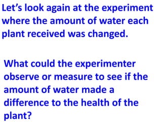 Let’s look again at the experiment
where the amount of water each
plant received was changed.

What could the experimenter
observe or measure to see if the
amount of water made a
difference to the health of the
plant?
 