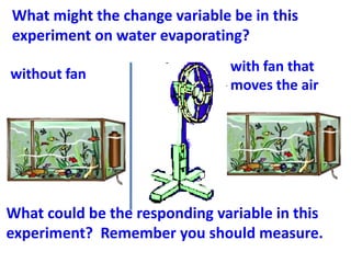 What might the change variable be in this
experiment on water evaporating?

without fan                    with fan that
 ...