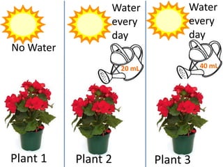 Water             Water
                 every             every
                 day               day
No Water
                     20 mL             40 mL




Plant 1    Plant 2           Plant 3
 