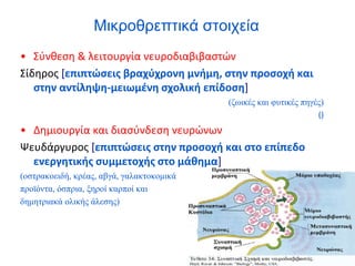 Μικροθρεπτικά στοιχεία
• Σύνθεση & λειτουργία νευροδιαβιβαστών
Σίδηρος [επιπτώσεις βραχύχρονη μνήμη, στην προσοχή και
στην αντίληψη-μειωμένη σχολική επίδοση]
(ζωικές και φυτικές πηγές)
()
• Δημιουργία και διασύνδεση νευρώνων
Ψευδάργυρος [επιπτώσεις στην προσοχή και στο επίπεδο
ενεργητικής συμμετοχής στο μάθημα]
(οστρακοειδή, κρέας, αβγά, γαλακτοκομικά
προϊόντα, όσπρια, ξηροί καρποί και
δημητριακά ολικής άλεσης)
 