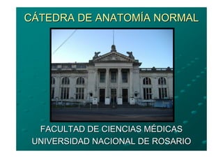 CÁTEDRA DE ANATOMÍA NORMAL




  FACULTAD DE CIENCIAS MÉDICAS
 UNIVERSIDAD NACIONAL DE ROSARIO
 