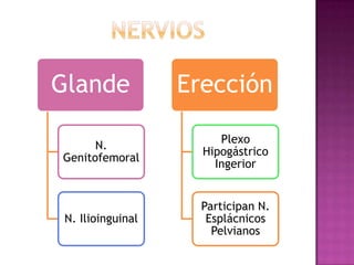 nervios