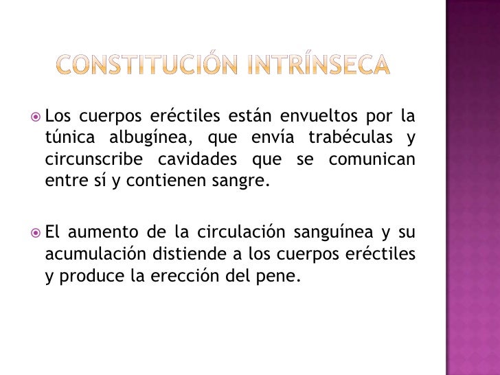 Que hacer cuando una pequeña dimensión del miembro