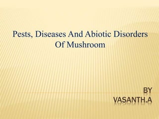BY
VASANTH.A
Pests, Diseases And Abiotic Disorders
Of Mushroom
 