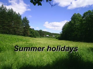Summer holidays
 