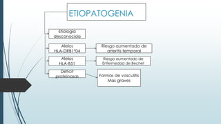 ETIOPATOGENIA
Etiología
desconocida
Alelos
HLA-DRB1*04
Riesgo aumentado de
arteritis temporal
Alelos
HLA-B51
Riesgo aumentado de
Enfermedad de Bechet
Déficit
proteinasas Formas de vasculitis
Mas graves
 
