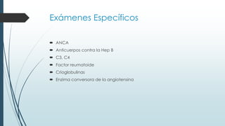 Exámenes Específicos
 ANCA
 Anticuerpos contra la Hep B
 C3, C4
 Factor reumatoide
 Crioglobulinas
 Enzima conversora de la angiotensina
 