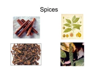 Spices 