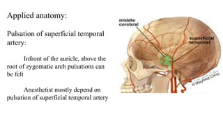 Pulse In Head Vascular supply of face and neck | PPTX