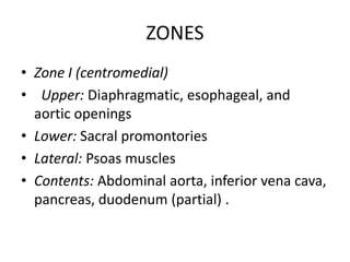 ZONES
• Zone I (centromedial)
• Upper: Diaphragmatic, esophageal, and
aortic openings
• Lower: Sacral promontories
• Lateral: Psoas muscles
• Contents: Abdominal aorta, inferior vena cava,
pancreas, duodenum (partial) .

 