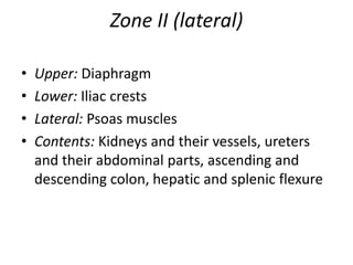 Zone II (lateral)
•
•
•
•

Upper: Diaphragm
Lower: Iliac crests
Lateral: Psoas muscles
Contents: Kidneys and their vessels, ureters
and their abdominal parts, ascending and
descending colon, hepatic and splenic flexure

 