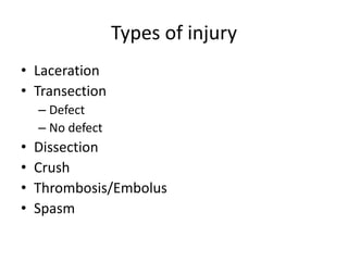 Types of injury
• Laceration
• Transection
– Defect
– No defect

•
•
•
•

Dissection
Crush
Thrombosis/Embolus
Spasm

 