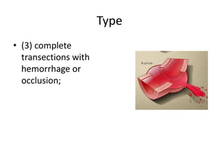 Type
• (3) complete
transections with
hemorrhage or
occlusion;

 