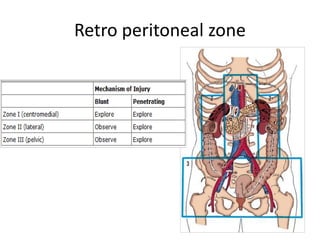 Retro peritoneal zone

 