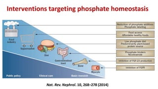 Nat. Rev. Nephrol. 10, 268–278 (2014)
Interventions targeting phosphate homeostasis
 