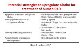 Potential strategies to upregulate Klotho for
treatment of human CKD
Neyra & Hu. Bone, 2017
 