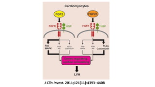 J Clin Invest. 2011;121(11):4393–4408
 