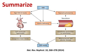 Nat. Rev. Nephrol. 10, 268–278 (2014)
Summarize
 