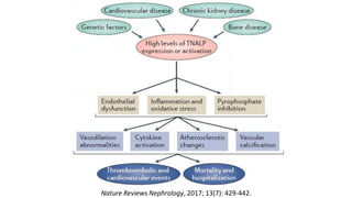 Nature Reviews Nephrology, 2017; 13(7): 429-442.
 