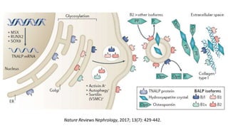 Nature Reviews Nephrology, 2017; 13(7): 429-442.
 